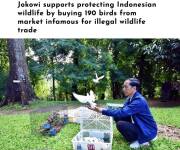 Indonesia’s Devastating Wild Bird Trade