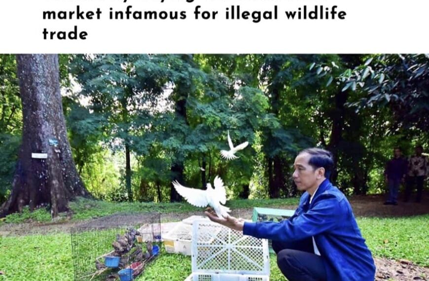 Indonesia’s Devastating Wild Bird Trade