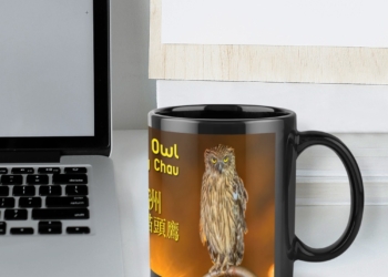 Cheung Chau Wise Owl Coffee or Tea Mug