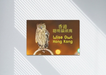 Wise Owl Hong Kong Framed Canvas Print 12″ x 8″