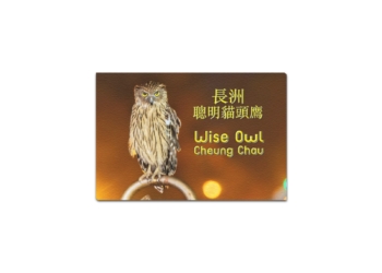 Wise Owl Cheung Chau Framed Canvas Print 12″x8″